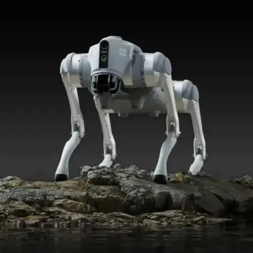 Quadruped