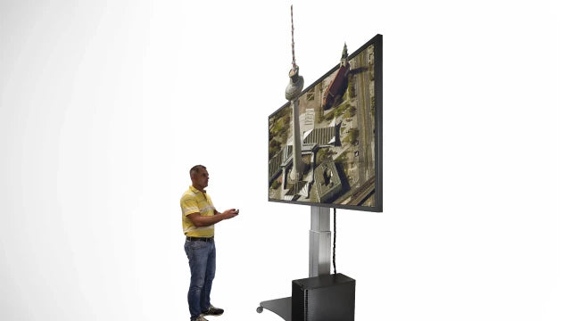 3D PluraView