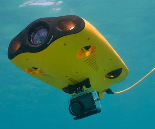 Chasing Gladius Mini S ROV