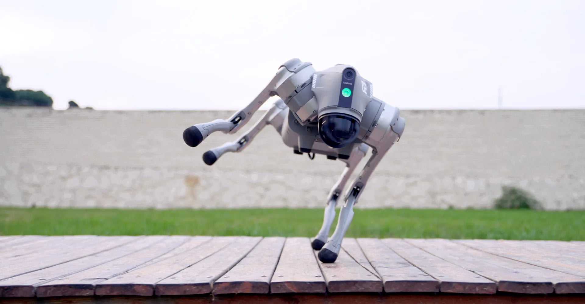 Unitree Go2 Pro