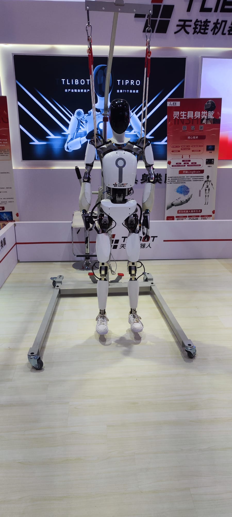 Tlibot T1 Pro 1 Humanoid Robot