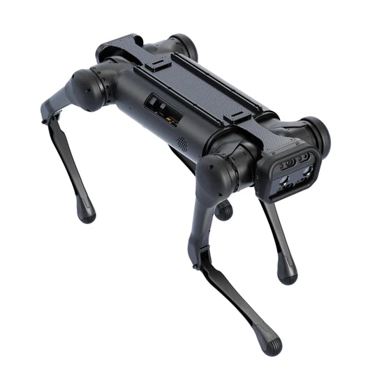 Unitree Aliengo Basic