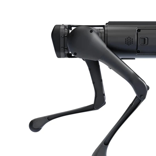 Unitree Aliengo Basic