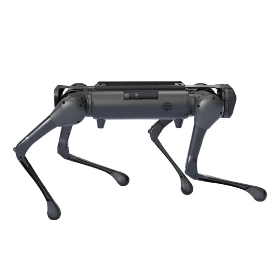 Unitree Aliengo Basic