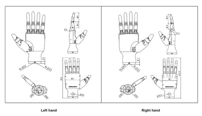 Inspire Robotics 6 DoF hands RH56DFX