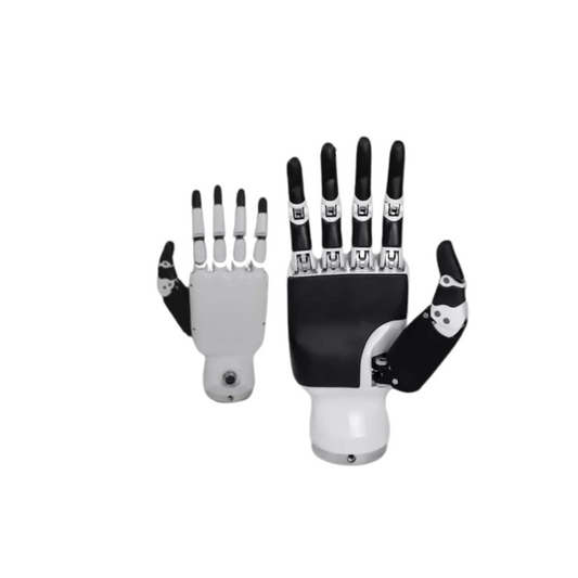 Inspire Robotics 6 DoF hands RH56DFX