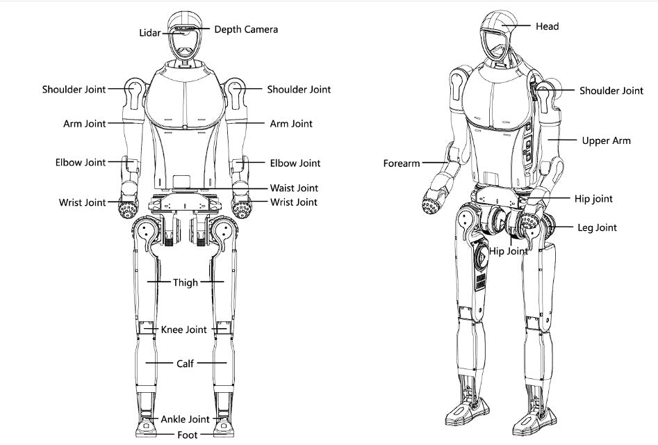 Unitree Humanoid Robot