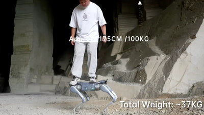 Unitree A2 Quadruped Robot