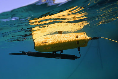 Chasing Gladius Mini S ROV