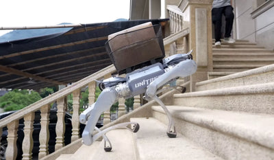 Unitree A2 Quadruped Robot