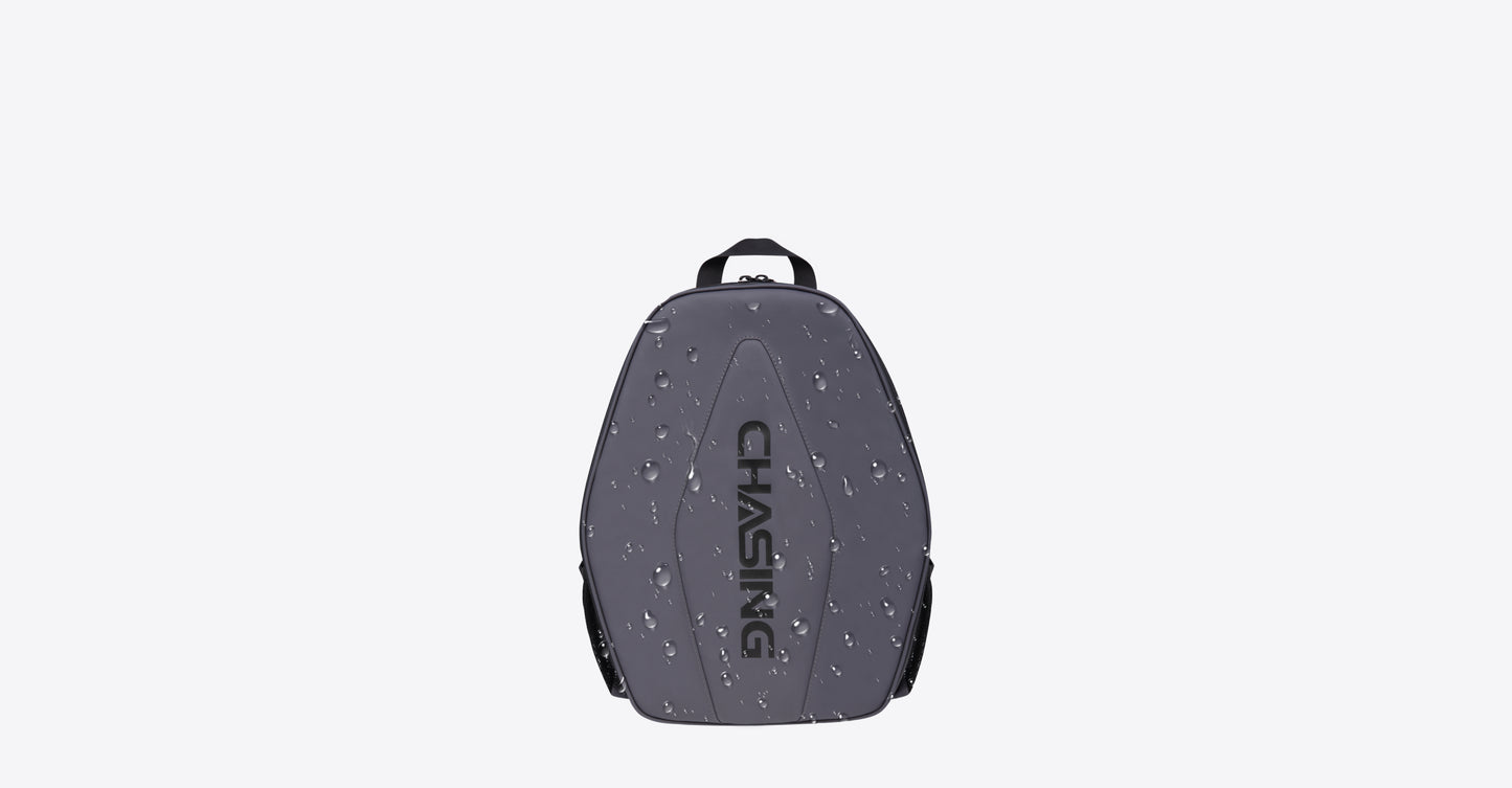 Chasing Dory Travel Back Pack