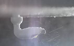 Soarability CitySense-X