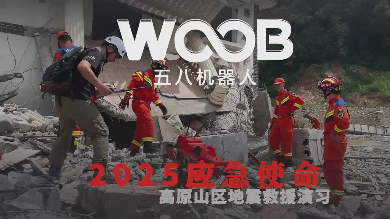 Woob Robotics Quadruped Robot Dog Q20A Platform