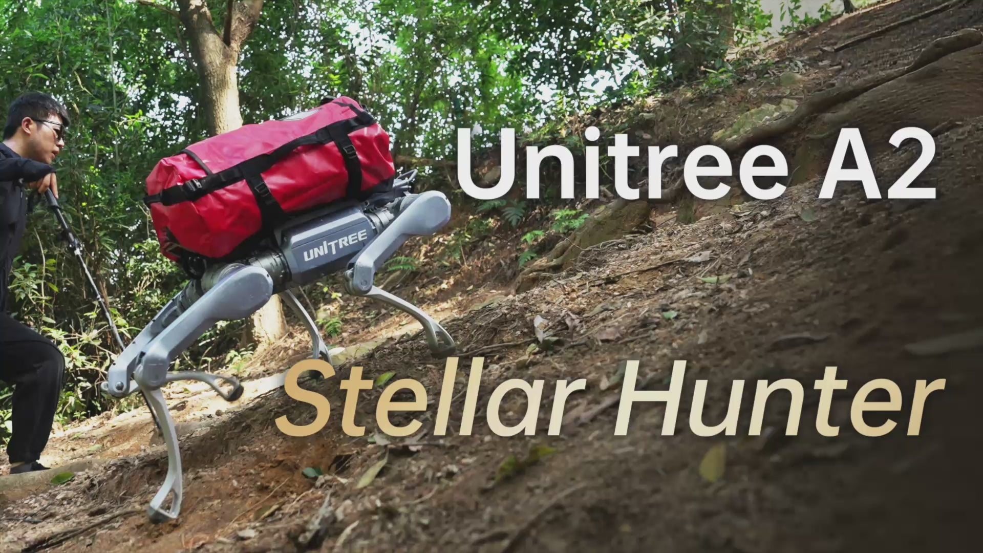 Unitree A2 Quadruped Robot