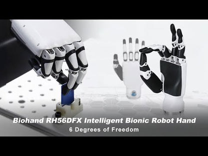 Inspire Robotics 6 DoF hands RH56DFX