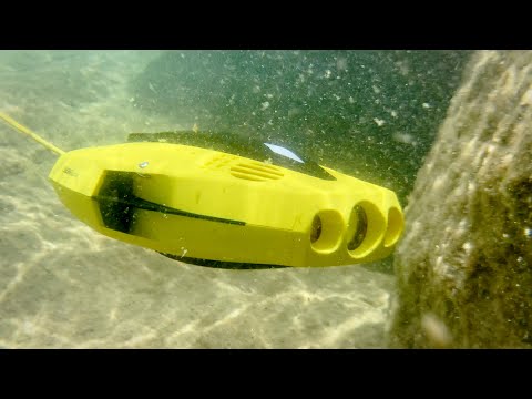 Chasing Dory ROV 15 Meter