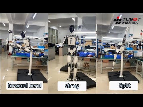 Tlibot T1 Pro 1 Humanoid Robot